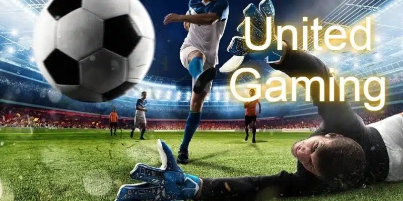 Nhà phát hành game cung cấp đa dạng loại hình game giải trí